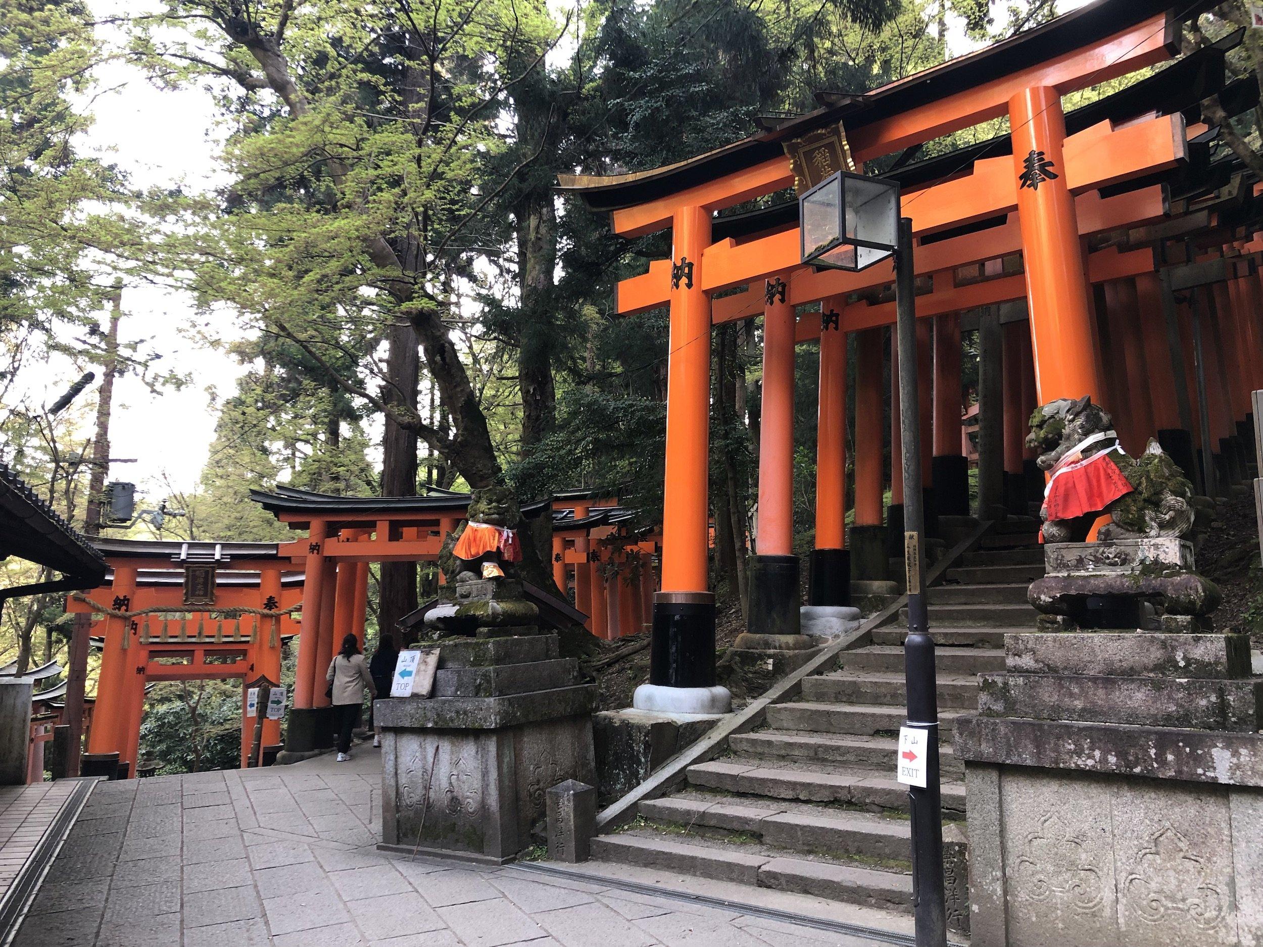 🌸 등각원 (토가쿠인) 이미지 8